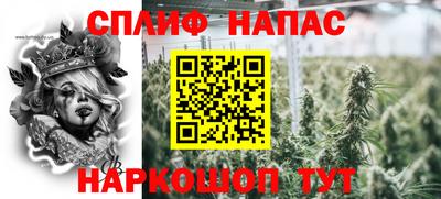 метадон Гай