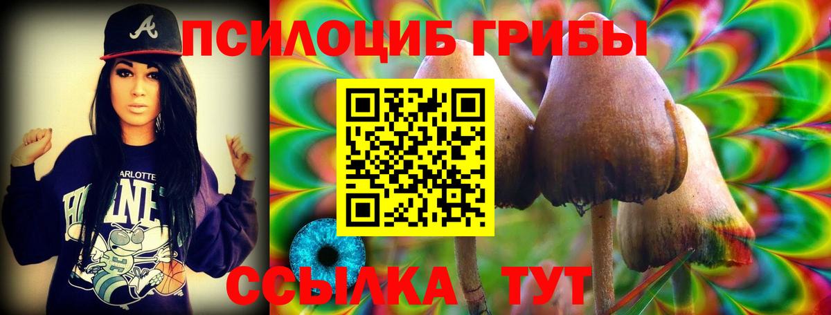 Приморско-Ахтарск  Псилоцибиновые грибы Psilocybe  Вход с VPN 