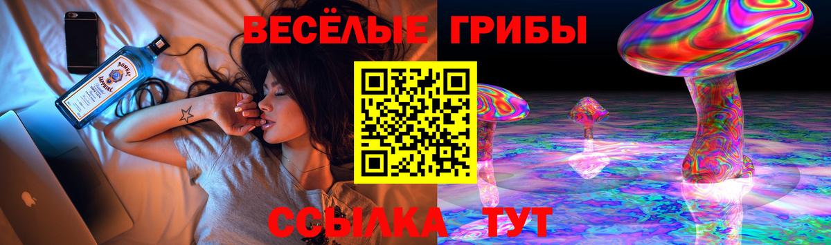 Галлюциногенные грибы MAGIC MUSHROOMS Приморско-Ахтарск